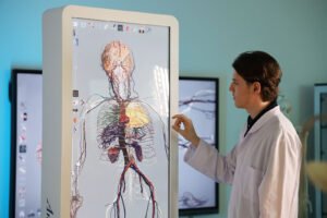 Study Medicine in Albania: Affordable European Medical Education at Western Balkans University